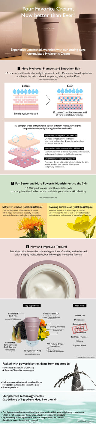 [haruharuwonder] Black Rice 10 Hyaluronic Cream 90ml