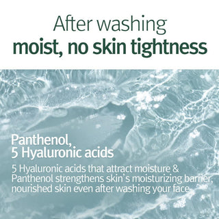 [PyunkangYul] Calming Acne Facial Cleanser 100ml