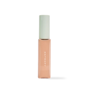 [ENTROPY] ORGANZA FIT SPATULA FOUNDATION #25.3