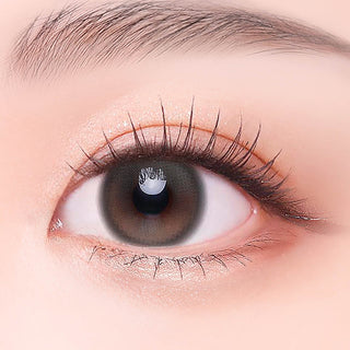 [cocoview] Glow Gray 1day 0.00D 10ea/1Pack