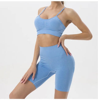 2 piece Set Seamless High Waist Yoga Gym Sportswear - Diva Melody