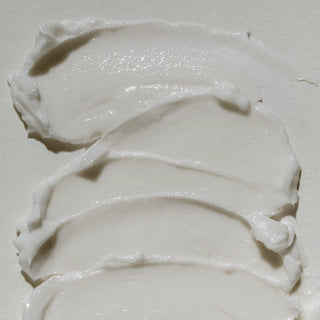 [Abib] Jericho Rose Crème Nutrition Tube 75ml - Diva Melody