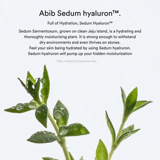 [Abib] Sedum hyaluron pad Hydrating touch - 165ml. 75 pads - Diva Melody