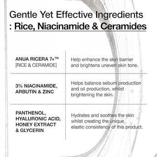 [Anua] 7 RICE CERAMIDE HYDRATING BARRIER SERUM 50ml - Diva Melody