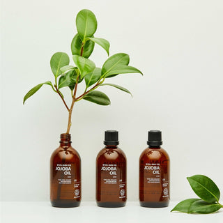 [Beaudiani] Jojoba Oil 100ml - Diva Melody