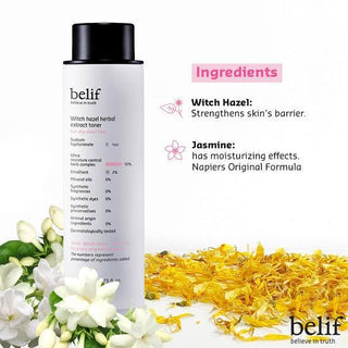 [Belif] Witch hazel herbal extract toner 200 ml - Diva Melody