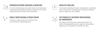 [CNP Laboratory] Propolis Ampule Oil-in-Cream 50ml - Diva Melody