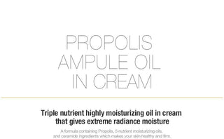 [CNP Laboratory] Propolis Ampule Oil-in-Cream 50ml - Diva Melody