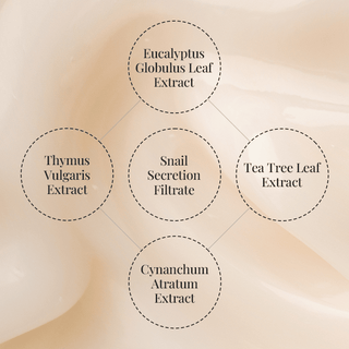 [Coeur] Ghost Repair Cream 50ml - Diva Melody