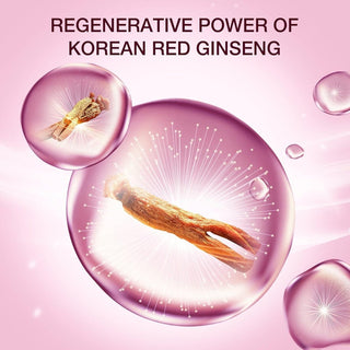 [DONGINBI] Red Ginseng Daily Defense Essence - 30ml - Diva Melody