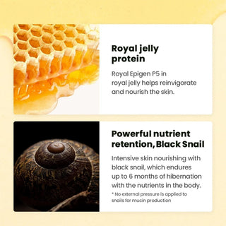 [Dr.G] Royal Black Snail Ampoule 30ml - Diva Melody