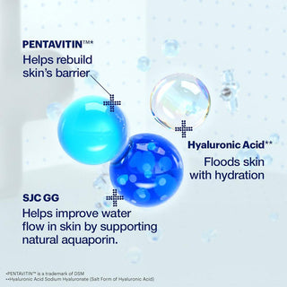 [Dr.Jart+] Vital Hydra Solution Hydro Plump Water Cream 50ml - Diva Melody