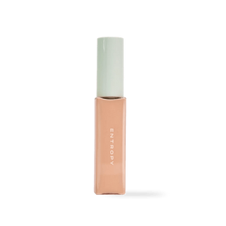 [ENTROPY] ORGANZA FIT SPATULA FOUNDATION 25.3 - Diva Melody