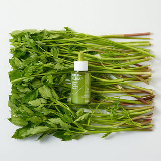 [filflo] Calm-clera infused minari calming serum 45ml - Diva Melody