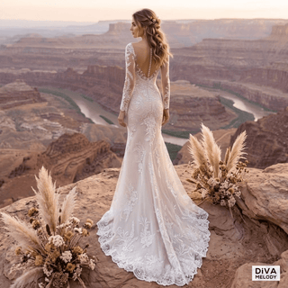 Illusion Neck Lace Mermaid Gown - Diva Melody