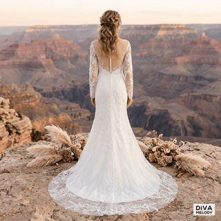Illusion Neck Lace Mermaid Gown - Diva Melody