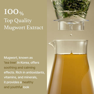 [ImFrom] Mugwort Essence 150ml - Diva Melody