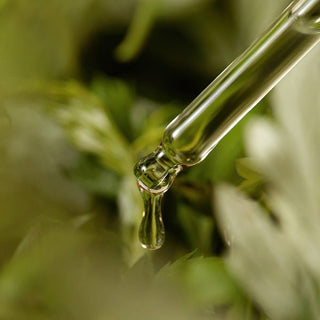 [ImFrom] Mugwort Serum 30ml - Diva Melody