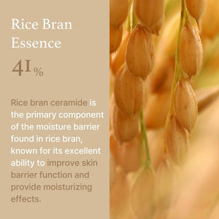 [ImFrom] Rice Cream 50g - Diva Melody