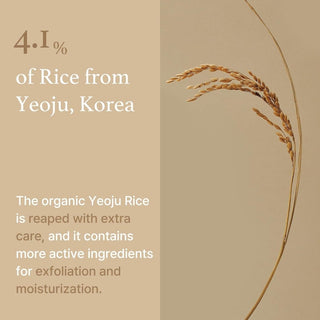 [ImFrom] Rice Mask 110g - Diva Melody