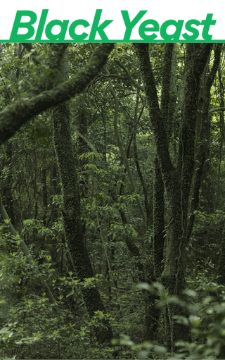 [Innisfree] Forest For Men Shaving Cleansing Foam 150g - Diva Melody