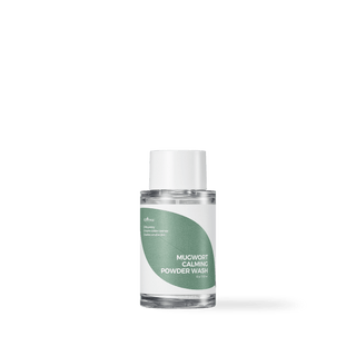 [Isntree] Mugwort Calming Powder Wash 15g - Diva Melody