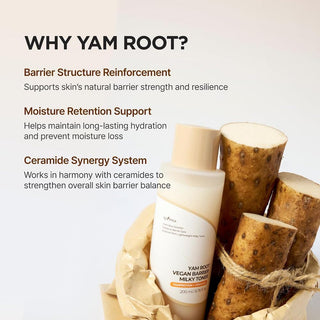 [Isntree] Yam Root Vegan Barrier Milk Toner 200ml - Diva Melody