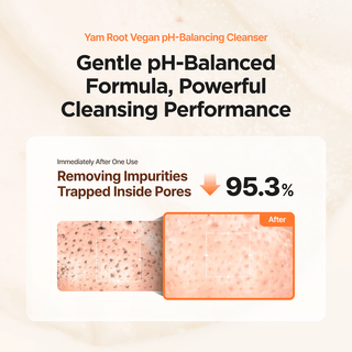 [Isntree] Yam Root Vegan pH-Balancing Cleanser 120ml - Diva Melody