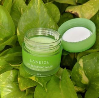[Laneige] Lip Sleeping Mask EX 20g - Apple Lime - Diva Melody