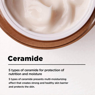 [Ma:nyo] Bifida Biome Concentrate Cream 50ml - Diva Melody