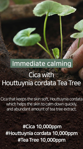 [Mary&May] Cica Houttuynia cordata Tea Tree Calming Mask Pack - 30 sheets - Diva Melody