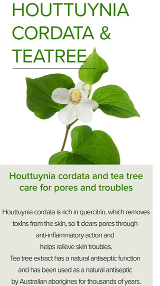 [Mary&May] Houttuynia Cordata +Tea Tree Serum - 30ml - Diva Melody