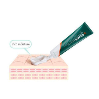 [Missha] Cicadin Hydro Patch Cream 70ml - Diva Melody
