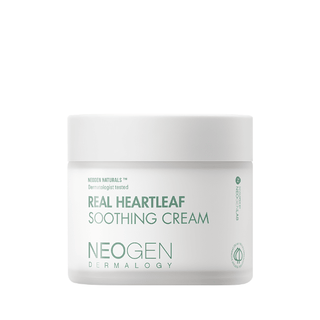 [neogen] Dermalogy Real Heartleaf Soothing Cream 80g - Diva Melody