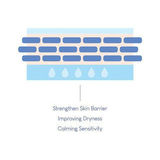 [Purito] Dermide Cica Barrier Sleeping Pack 80ml - Diva Melody