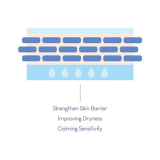 [Purito] Dermide Cica Barrier Sleeping Pack 80ml - Diva Melody