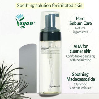 [PyunkangYul] Calming Low pH Foaming Cleanser 150ml - Diva Melody
