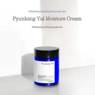 [PyunkangYul] Moisture Cream 100ml - Diva Melody