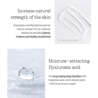 [PyunkangYul] Nutrition Cream 100ml - Diva Melody