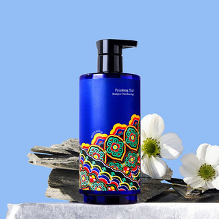 [PyunkangYul] Shampoo Dancheong 350ml - Diva Melody