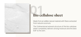[Reblocell] Flossom Regenerating Facial Mask EGF 1ppm 1 Sheet - Diva Melody
