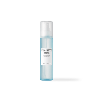 [Skin1004] Madagascar Centella Hyalu-Cica Cloudy Mist 120ml - Diva Melody