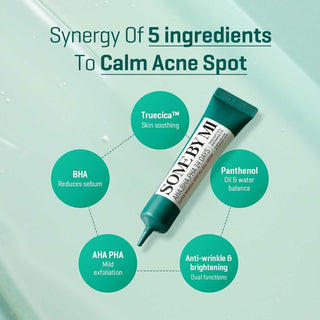 [SomeByMi] AHA-BHA-PHA SUPER MIRACLE SPOT ALL KILL CREAM 30ml - Diva Melody