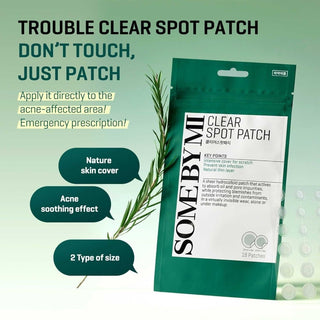 [Somebymi] Clear spot patch - Diva Melody