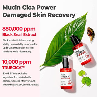 [SomeByMi] SNAIL TRUECICA MIRACLE REPAIR SERUM 50ml - Diva Melody