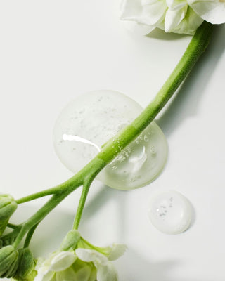 [THE LAB By BLANC DOUX] Green Flavonoid™ 5.0 Serum 30ml - Diva Melody