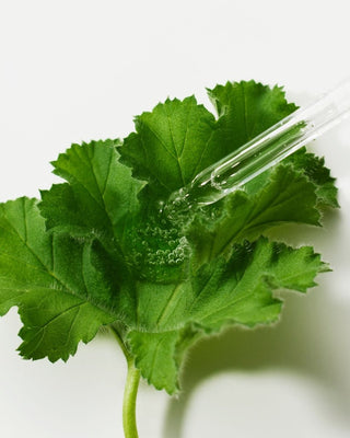 [THE LAB By BLANC DOUX] Green Flavonoid™ 5.0 Serum 30ml - Diva Melody