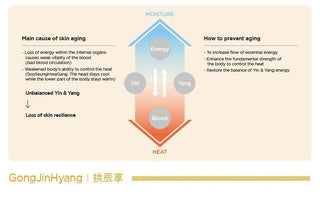 [Thehistoryofwhoo] Gongjinhyang Essential Nourishing Emulsion 110ml - Diva Melody