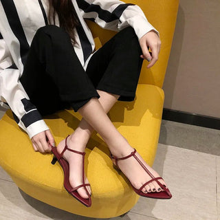 Thin Low Heels Pointed Open Toe Ankle Strap Dress Shoes - Diva Melody