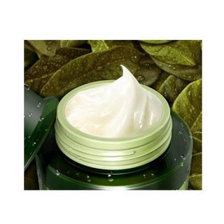 [TONYMOLY] The Chok Chok Green Tea Watery Moisture Cream 100ml - Diva Melody